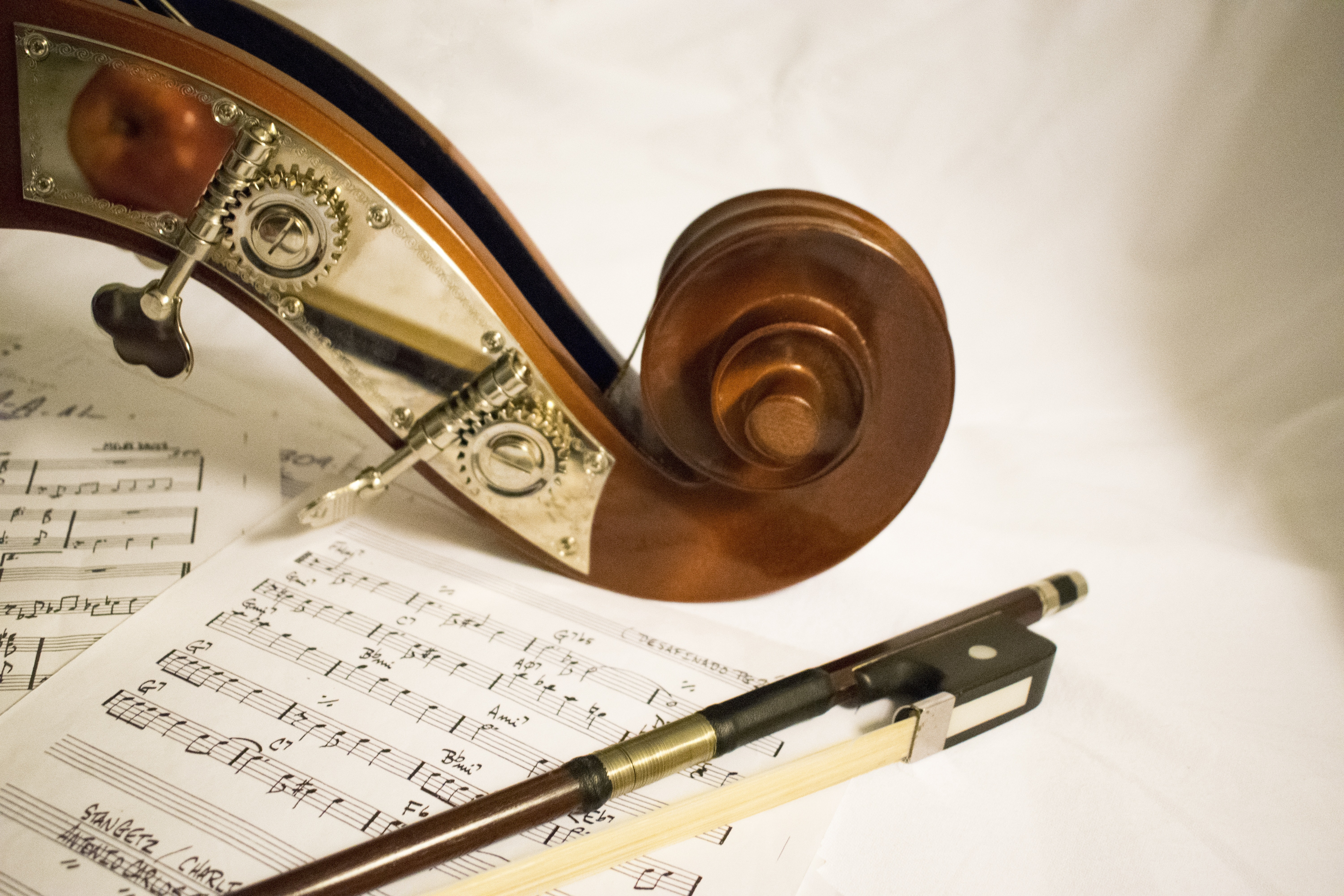 Violin and Notes